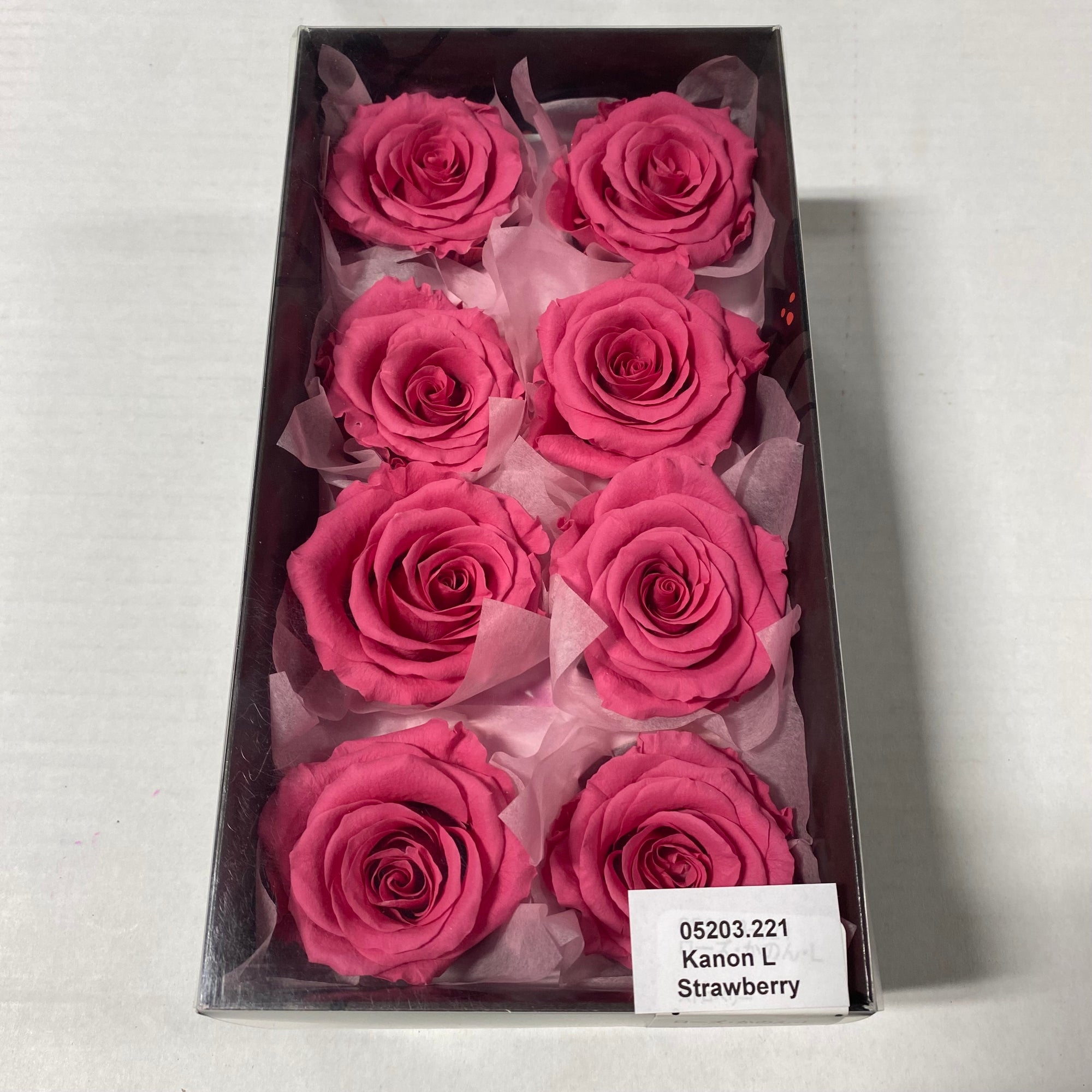 Rose Heads 'Preserved' (Various Colours & Sizes)