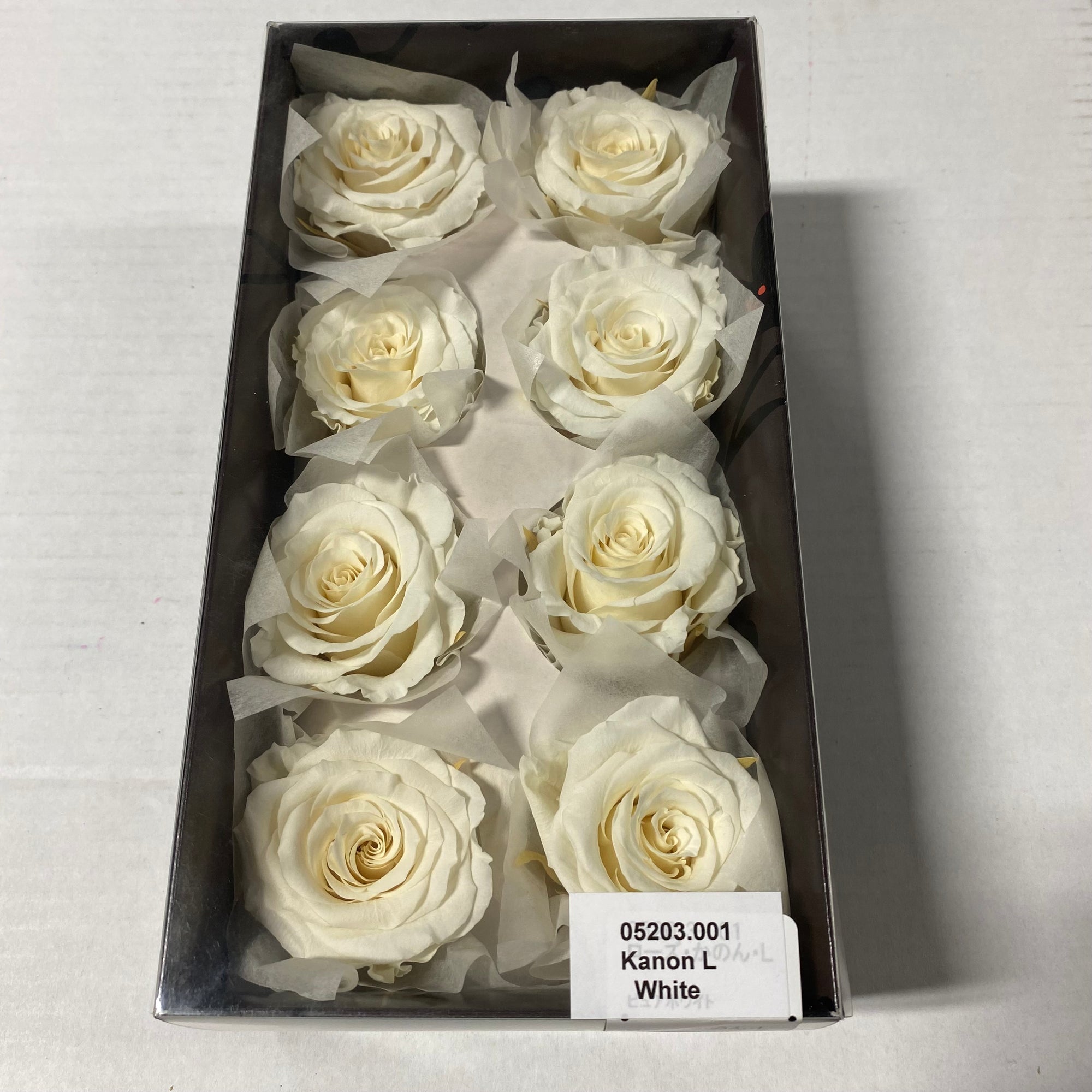 Rose Heads 'Preserved' (Various Colours & Sizes)