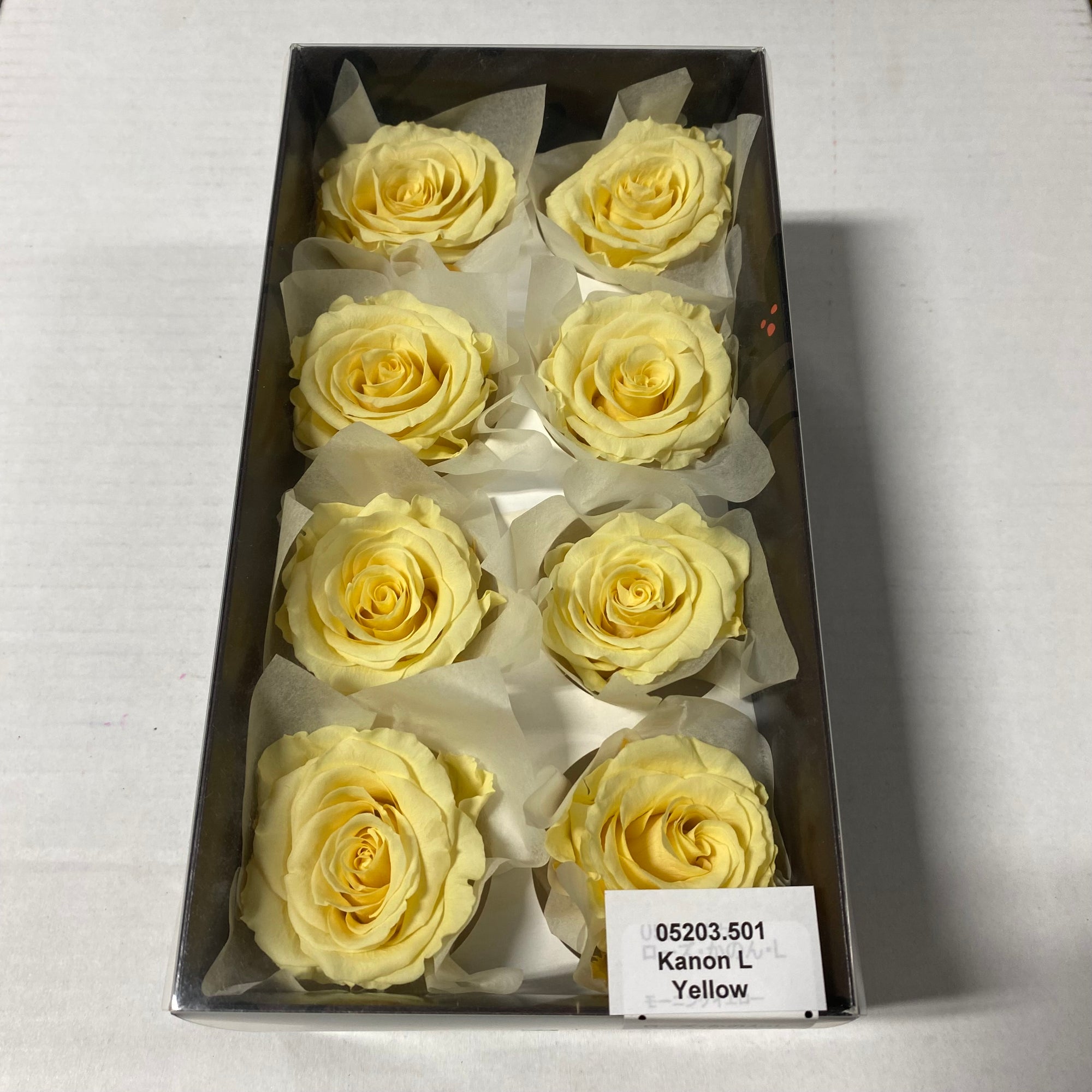 Rose Heads 'Preserved' (Various Colours & Sizes)