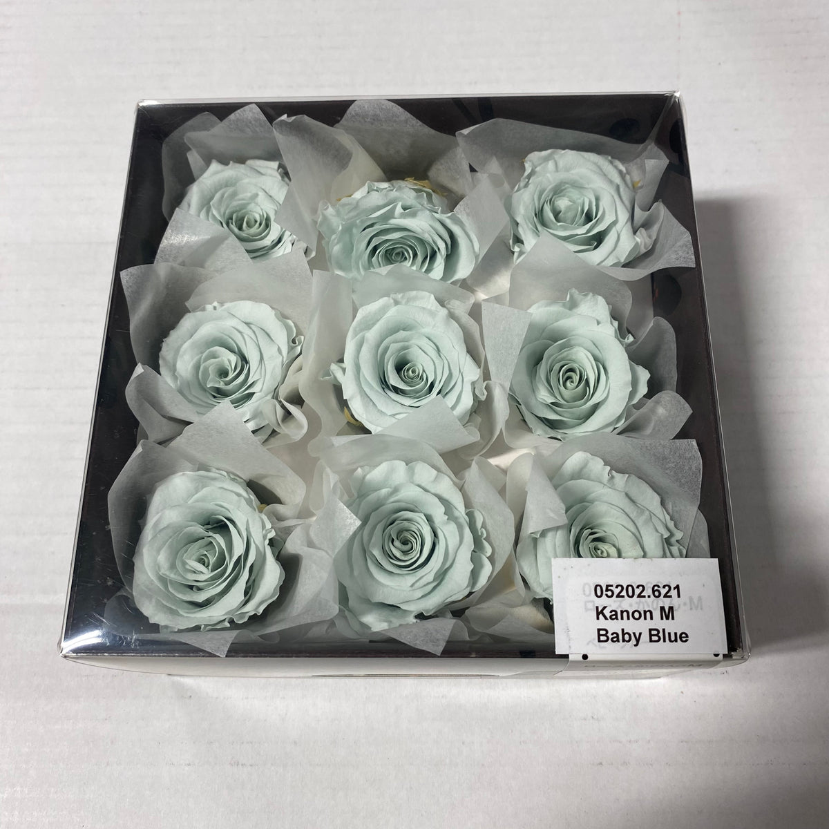 Rose Heads &#39;Preserved&#39; (Various Colours &amp; Sizes)