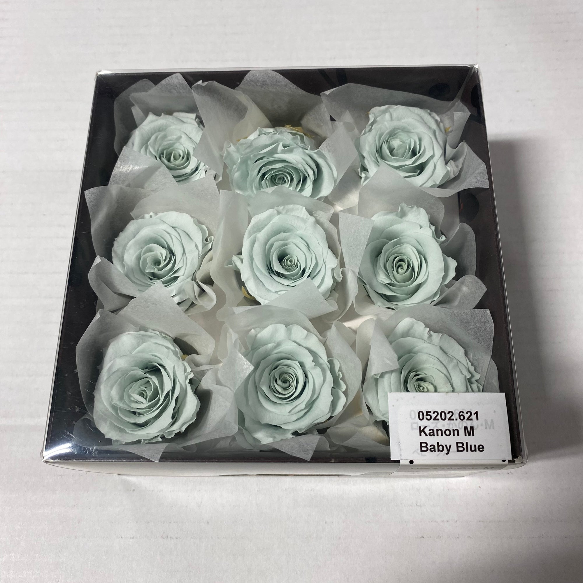 Rose Heads 'Preserved' (Various Colours & Sizes)