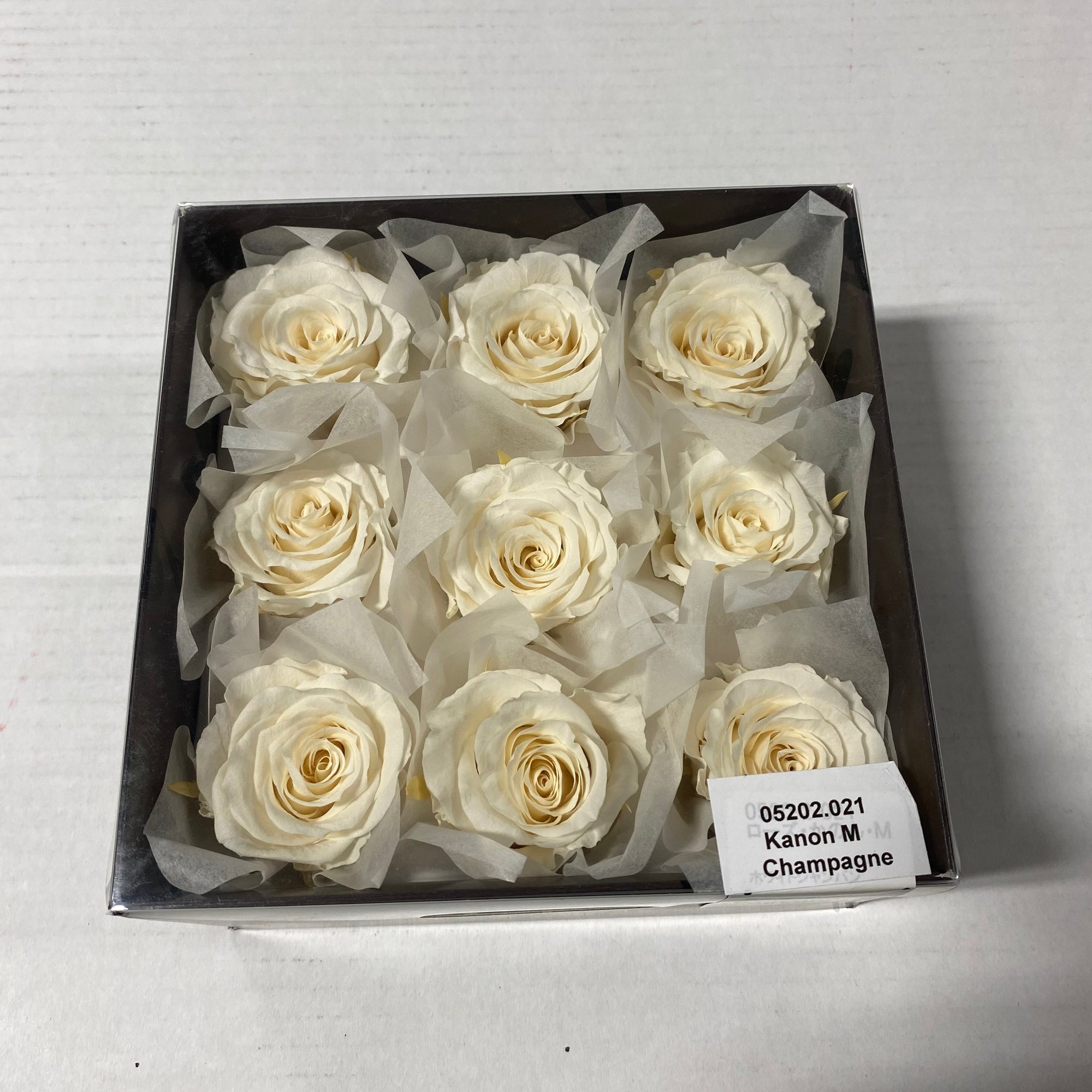 Rose Heads 'Preserved' (Various Colours & Sizes)