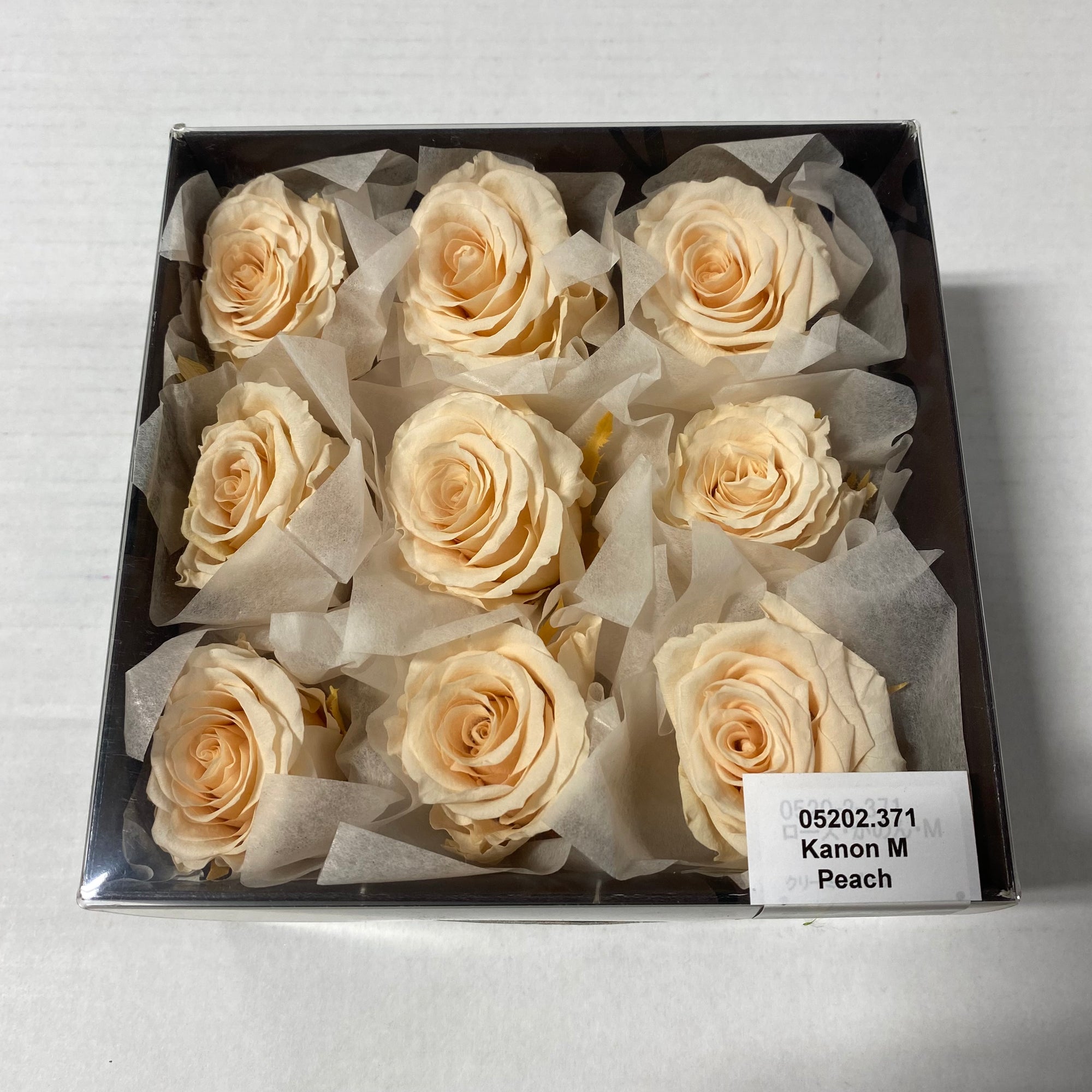 Rose Heads 'Preserved' (Various Colours & Sizes)