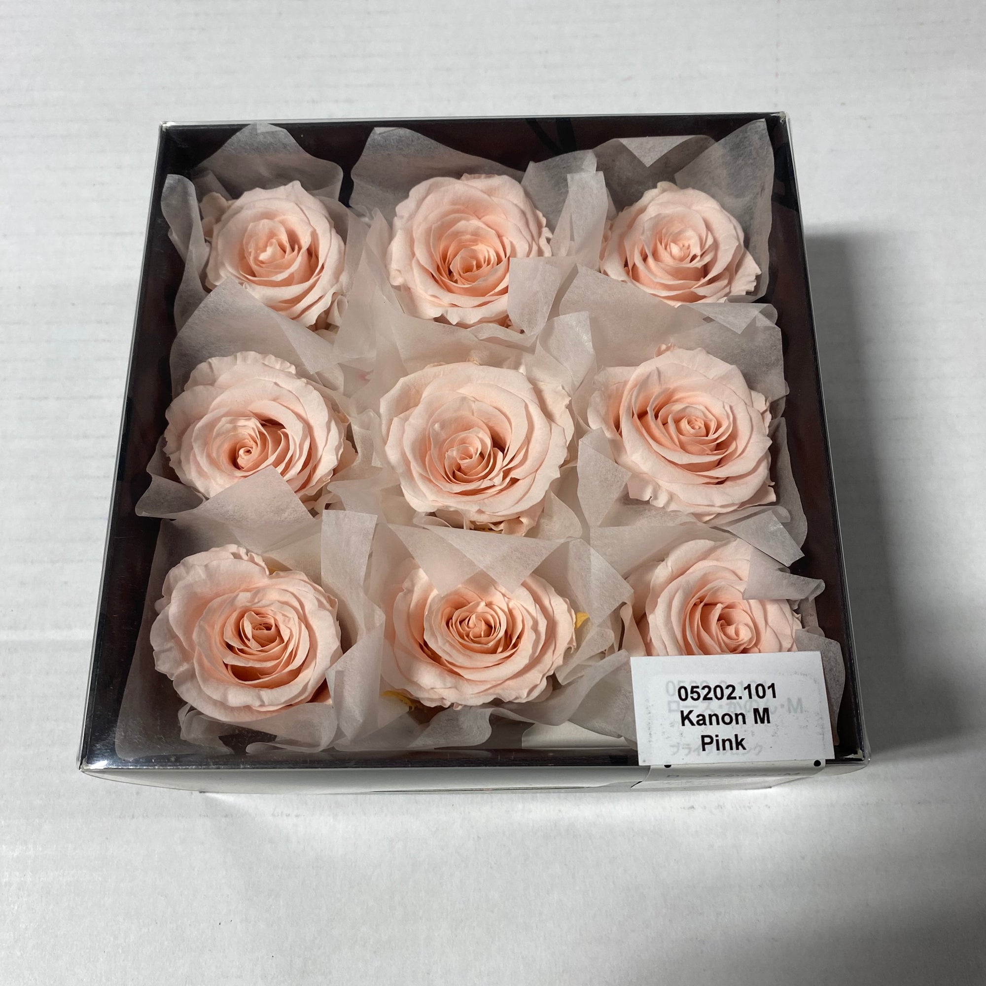 Rose Heads 'Preserved' (Various Colours & Sizes)