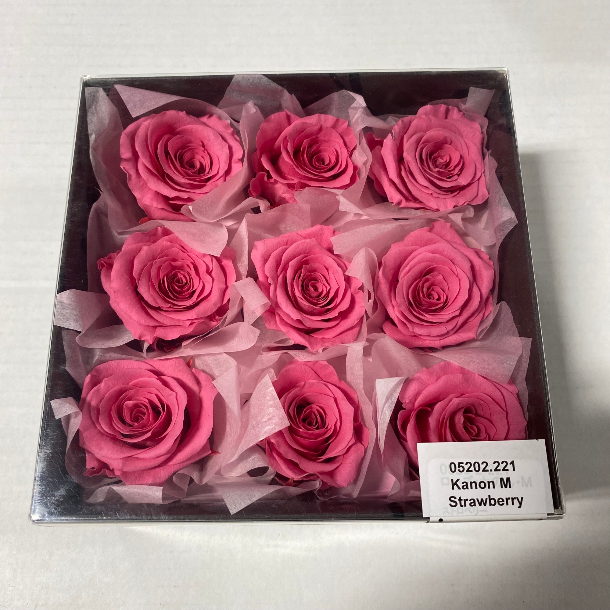 Rose Heads 'Preserved' (Various Colours & Sizes)