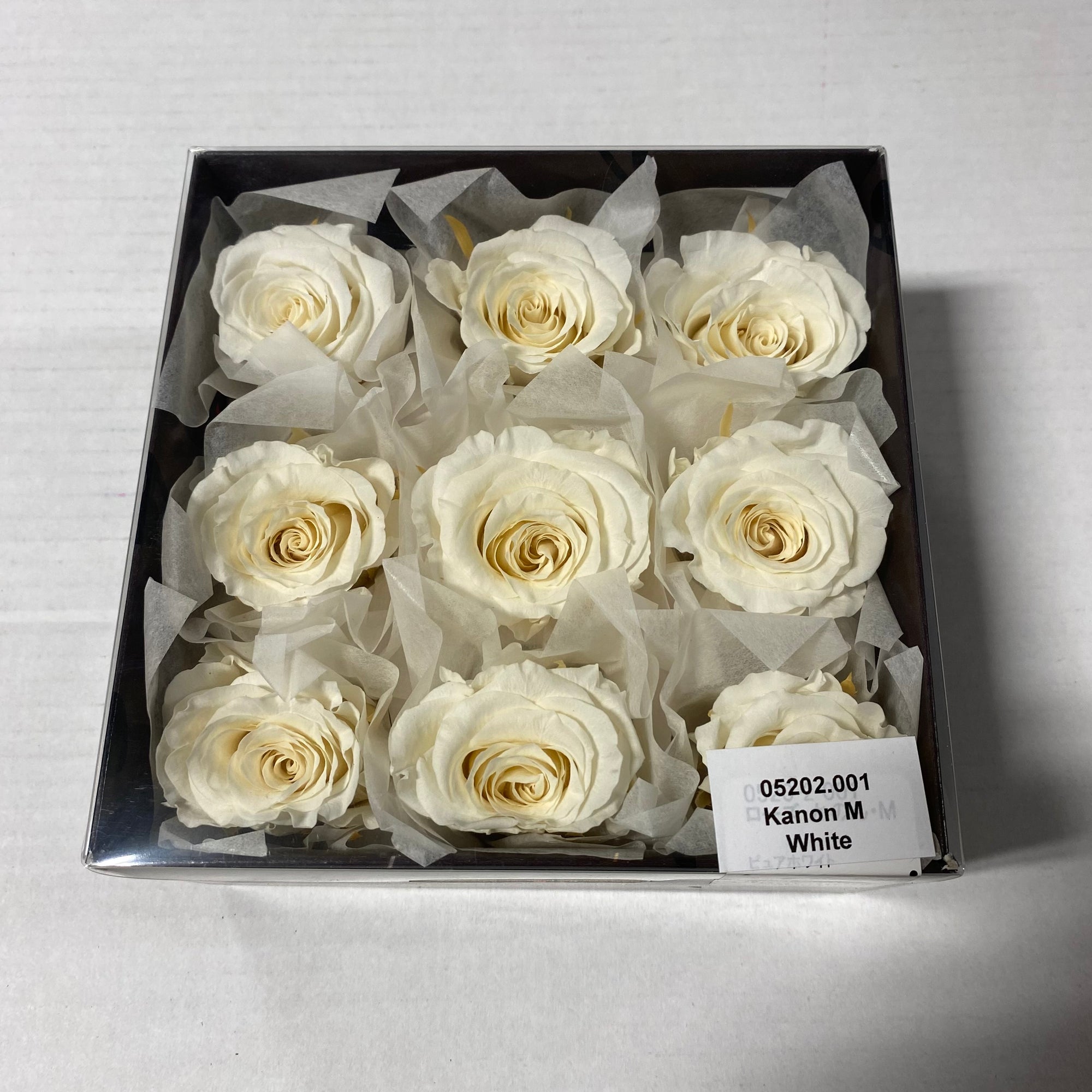 Rose Heads 'Preserved' (Various Colours & Sizes)