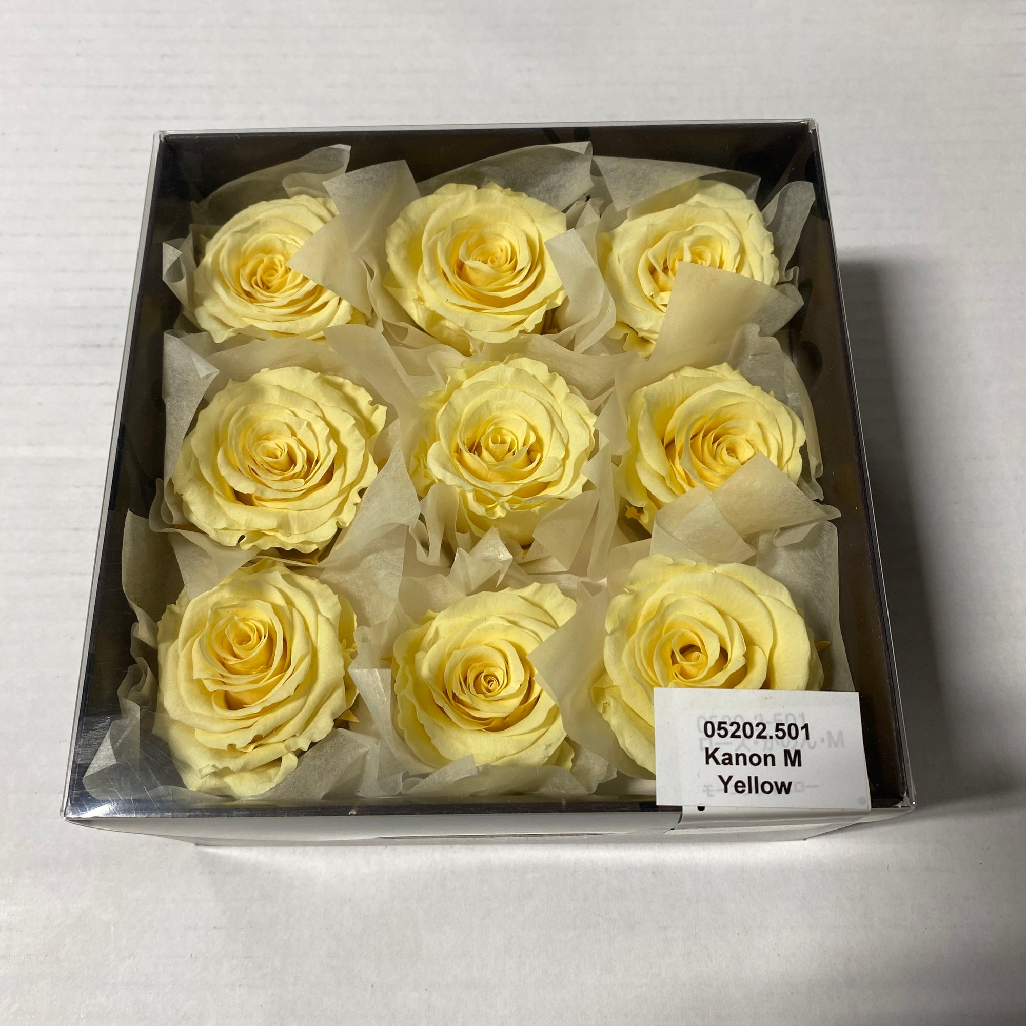 Rose Heads 'Preserved' (Various Colours & Sizes)