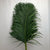 Palm 'Kentia' Leaves (Various Sizes)