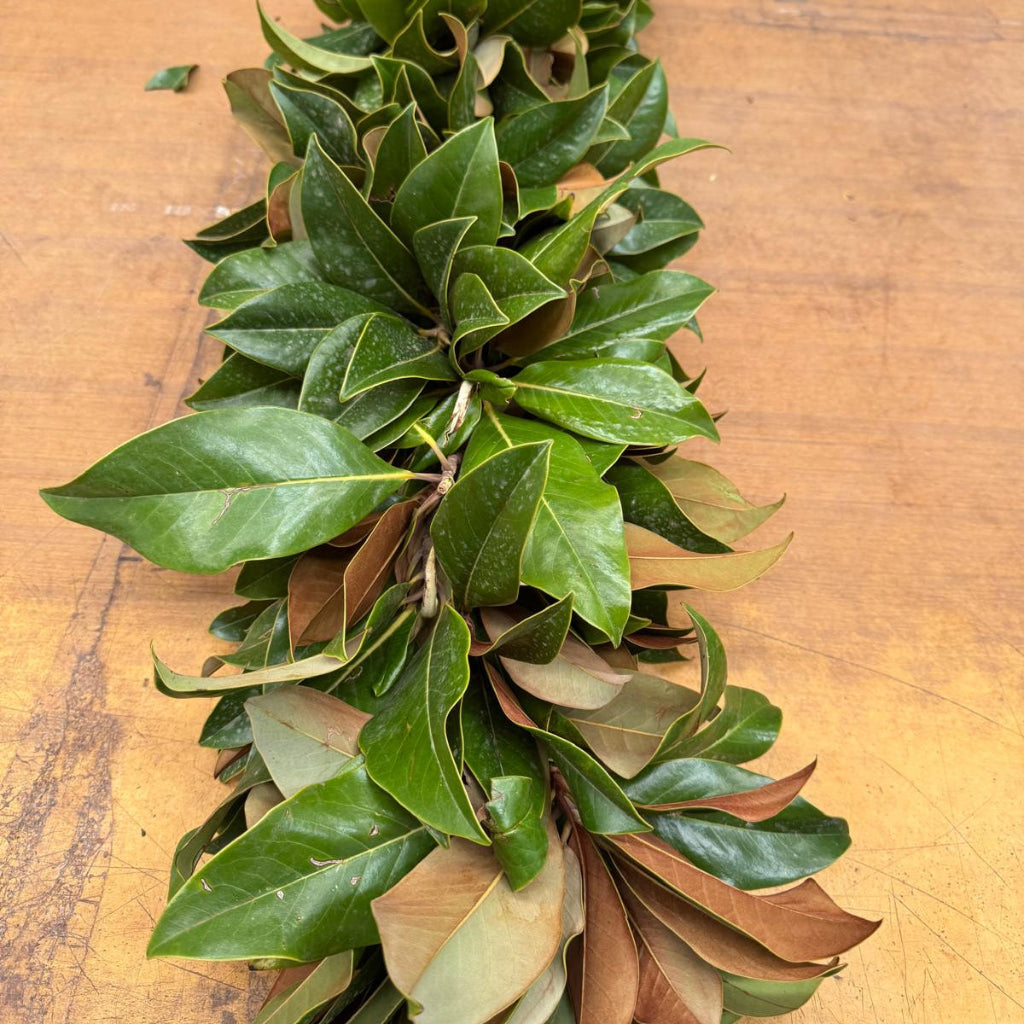 Garland Magnolia Foliage (price per metre)