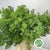 Fern 'Asparagus' (Ming Fern) (Various Lengths)