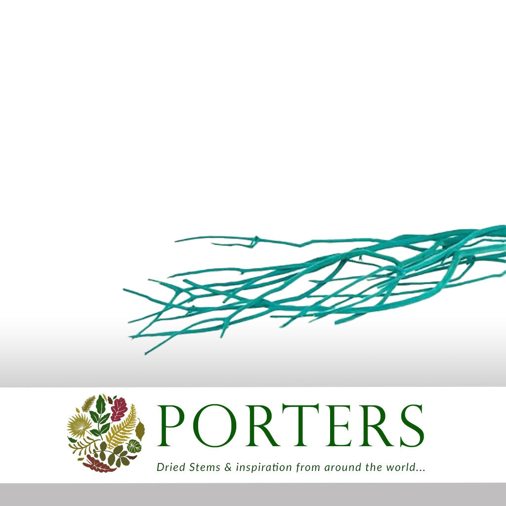 Twigs 'Mitsumata' (Velvet) (Various Colours) (DRY) 120cm (x3)