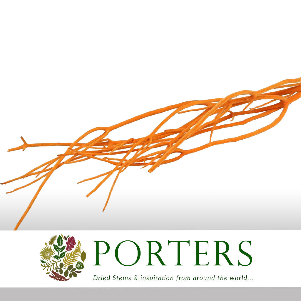 Twigs 'Mitsumata' (Velvet) (Various Colours) (DRY) 120cm (x3)