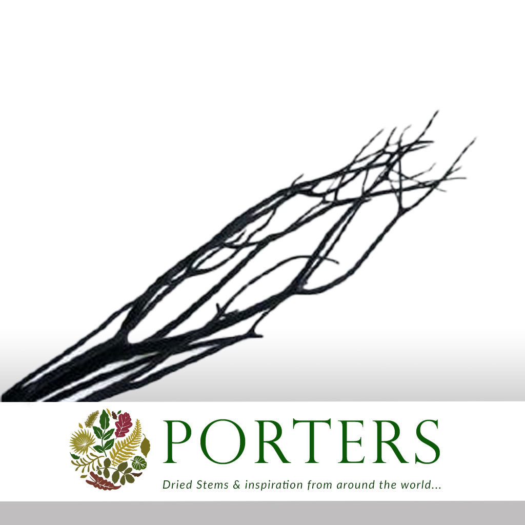 Twigs 'Mitsumata' (Velvet) (Various Colours) (DRY) 120cm (x3)