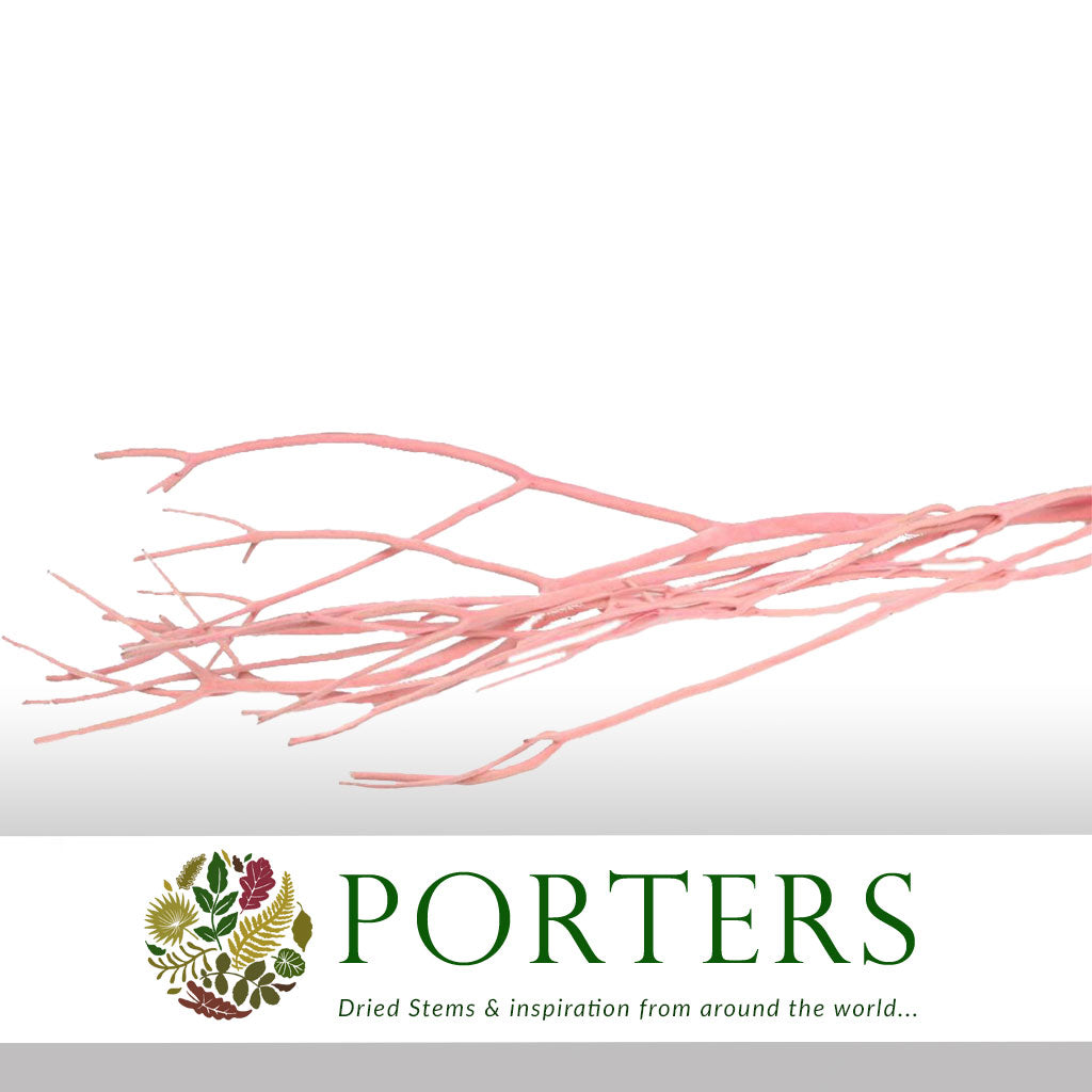 Twigs 'Mitsumata' (Velvet) (Various Colours) (DRY) 120cm (x3)