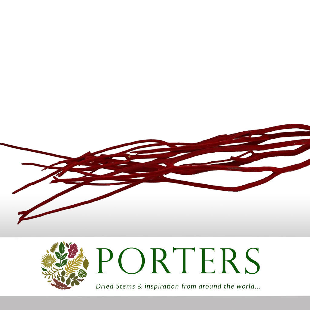 Twigs 'Mitsumata' (Velvet) (Various Colours) (DRY) 120cm (x3)