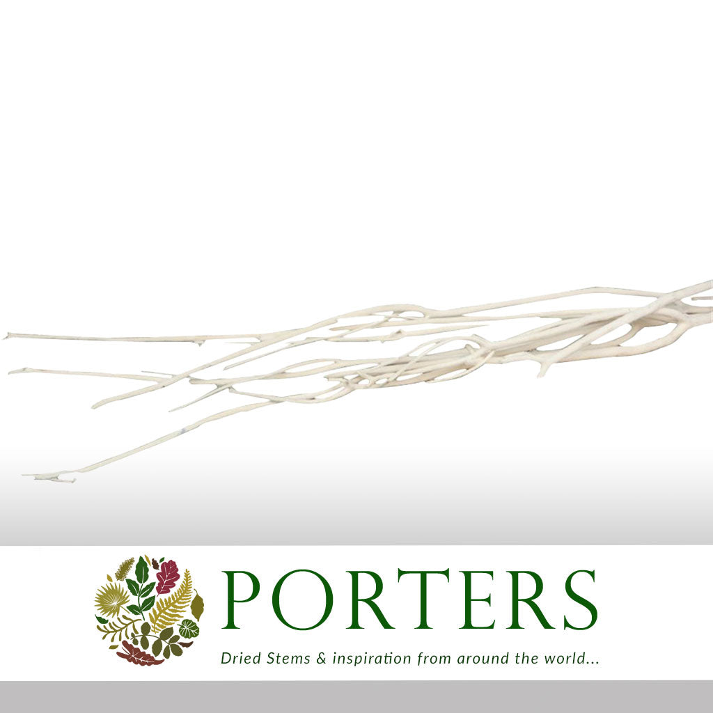 Twigs 'Mitsumata' (Velvet) (Various Colours) (DRY) 120cm (x3)