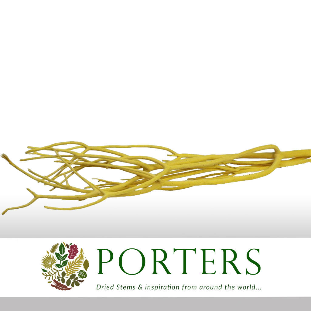 Twigs 'Mitsumata' (Velvet) (Various Colours) (DRY) 120cm (x3)