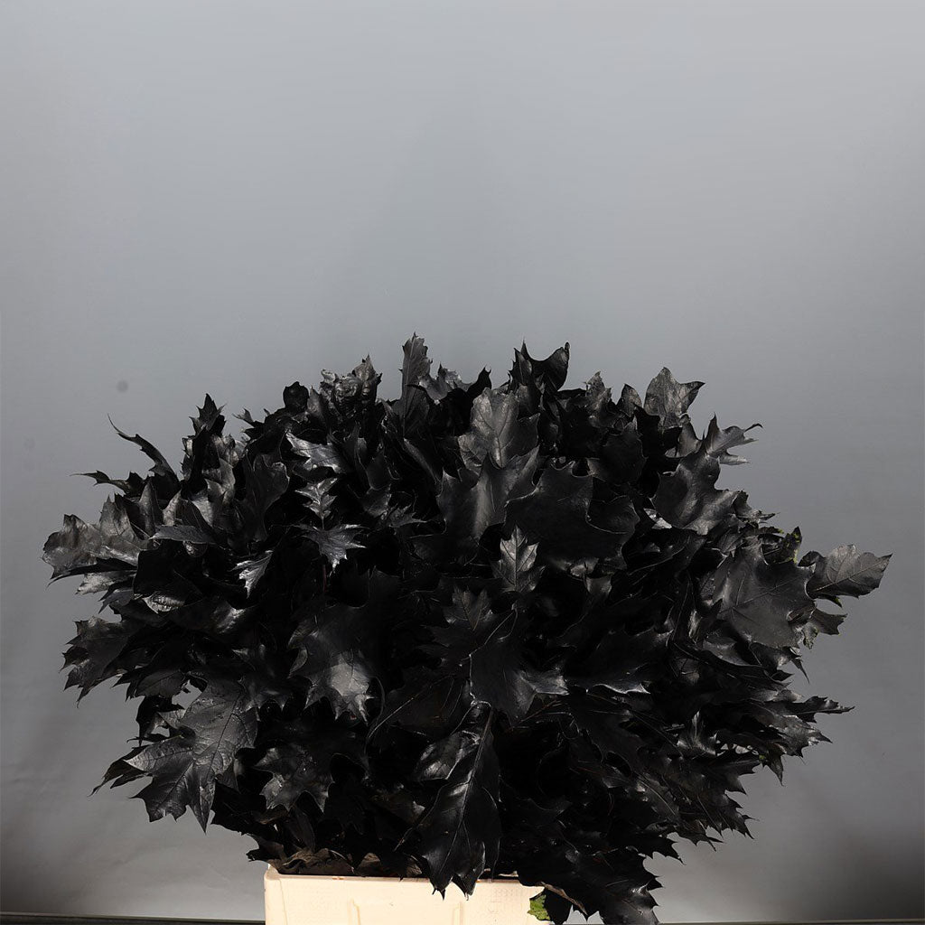 Oak &#39;Foliage&#39; (Painted) (Various Colours) (x20)