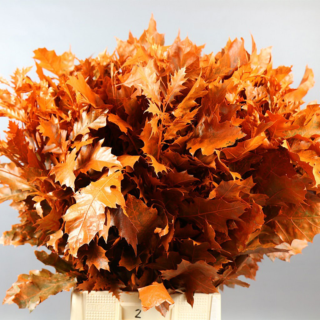 Oak &#39;Foliage&#39; (Painted) (Various Colours) (x20)