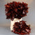 Oak 'Foliage' (Painted) (Various Colours) (x20)