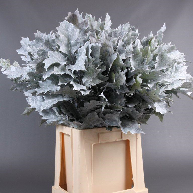 Oak &#39;Foliage&#39; (Painted) (Various Colours) (x20)