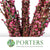 Blossom 'Pink' (Peach) 'Double' (Cultivated) (Various Lengths)