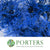 Fern 'Asparagus' (Painted/Glitter) 45cm (Various Colours) (x50)