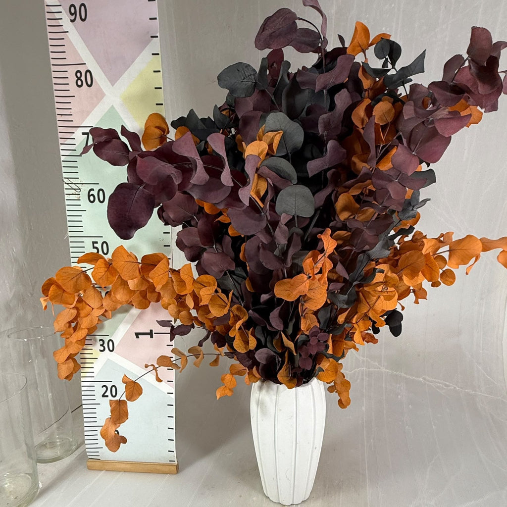 Eucalyptus 'Stuartiana' (Stabilised) (DRY) (Various Colours)