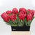 Protea 'Venus' (Various Lengths) (Per Stem)