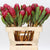 Protea 'Red Sensation' (Various Lengths)