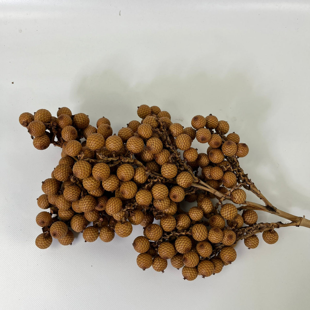 Fruit &#39;Rattan&#39; (Natural) (DRY) (500g)