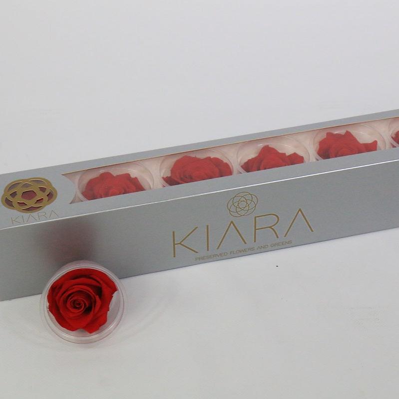 Rose Heads 'Preserved' (Various Colours & Sizes)