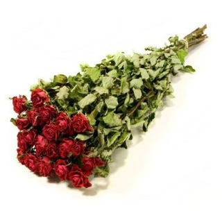 Roses 'Spray Roses' (DRY) (Various Colours)