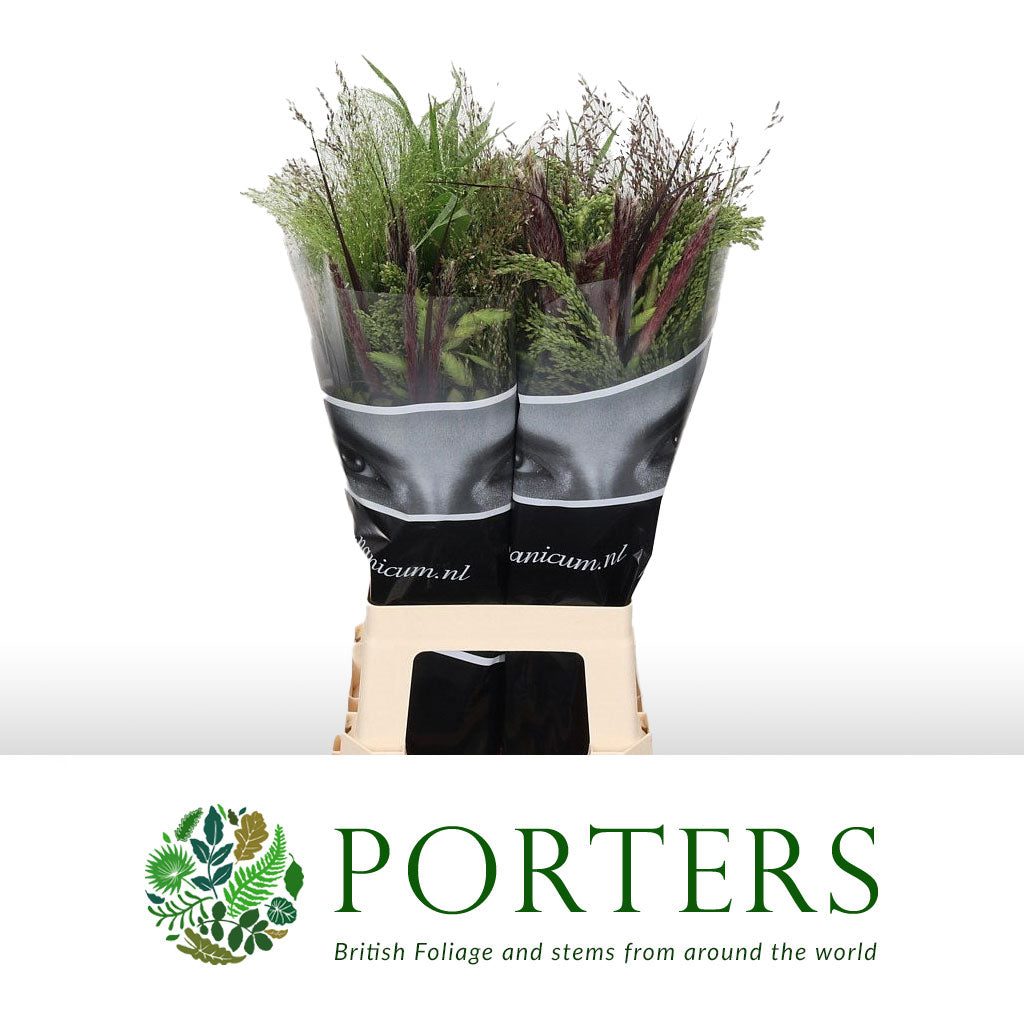 Grass &#39;Siergrass Mix&#39; (x50) (Various Lengths)
