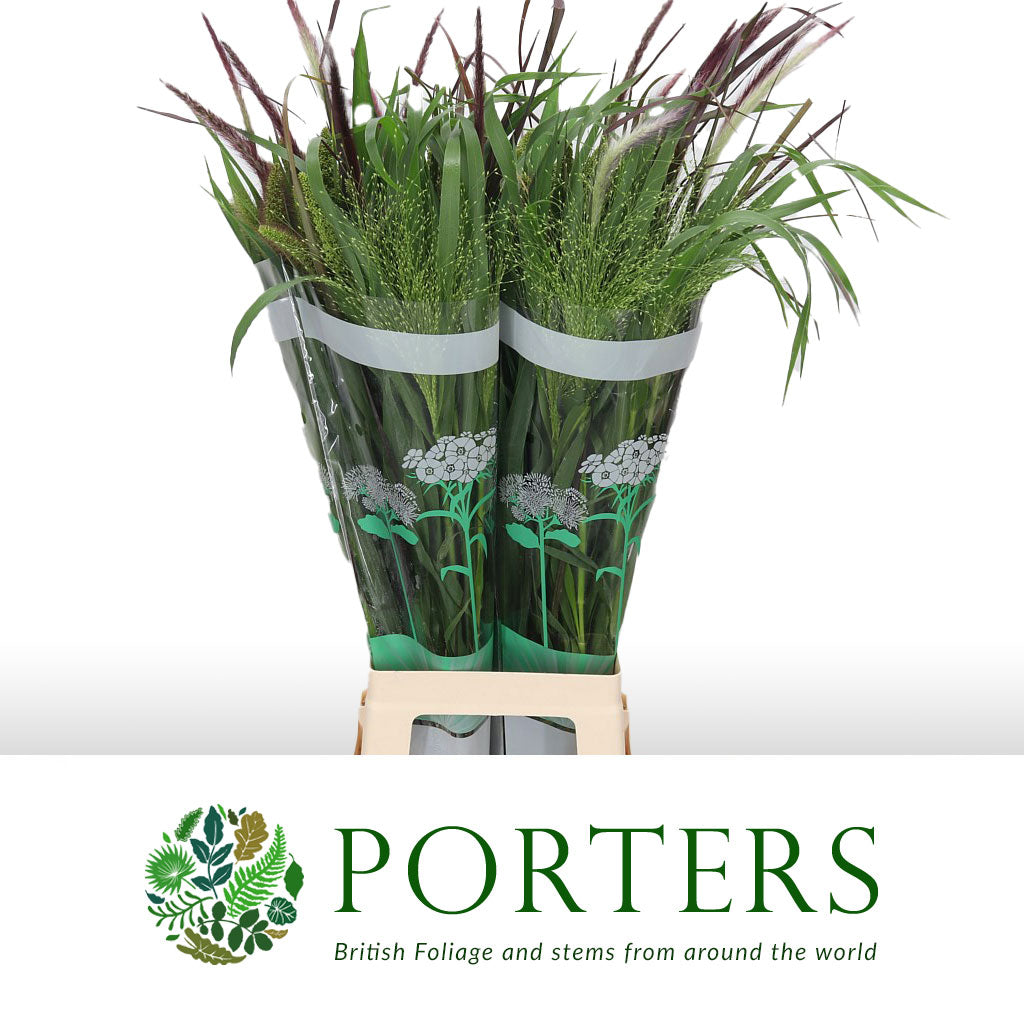 Grass &#39;Siergrass Mix&#39; (x50) (Various Lengths)