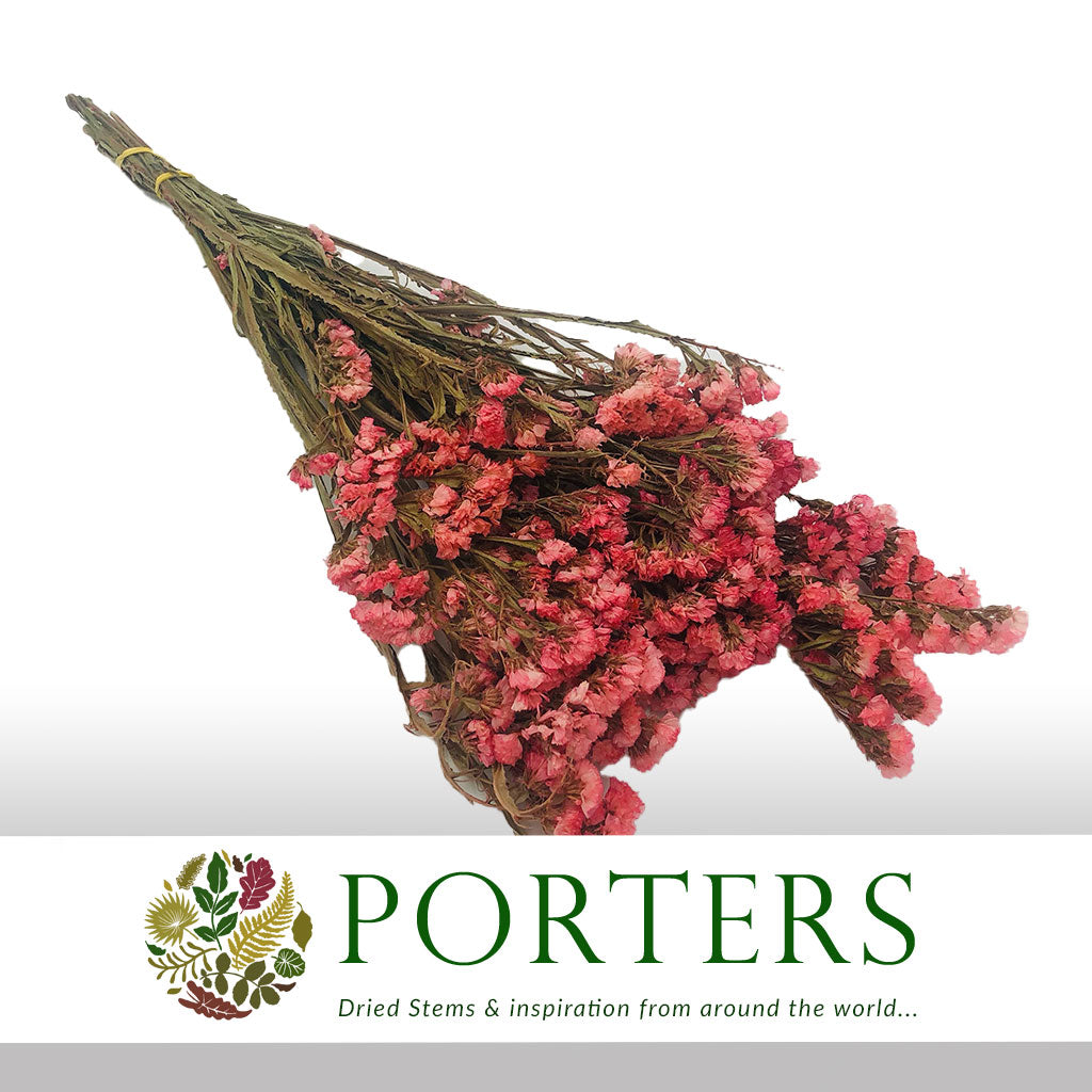 Statice &#39;Flower&#39; (Various Colours) (DRY) 70cm
