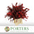 Eucalyptus 'Stuartiana' (Stabilised) (Coloured) (DRY) (Various Colours)