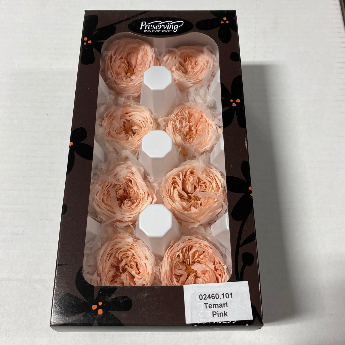 Rose Heads &#39;Preserved&#39; (Various Colours &amp; Sizes)
