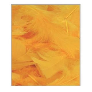 Feathers &#39;Turkey&#39; (Various Colours) (DRY) (45g)