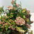 Viburnum  'Flowering' (Cultivated) (Various Sizes)