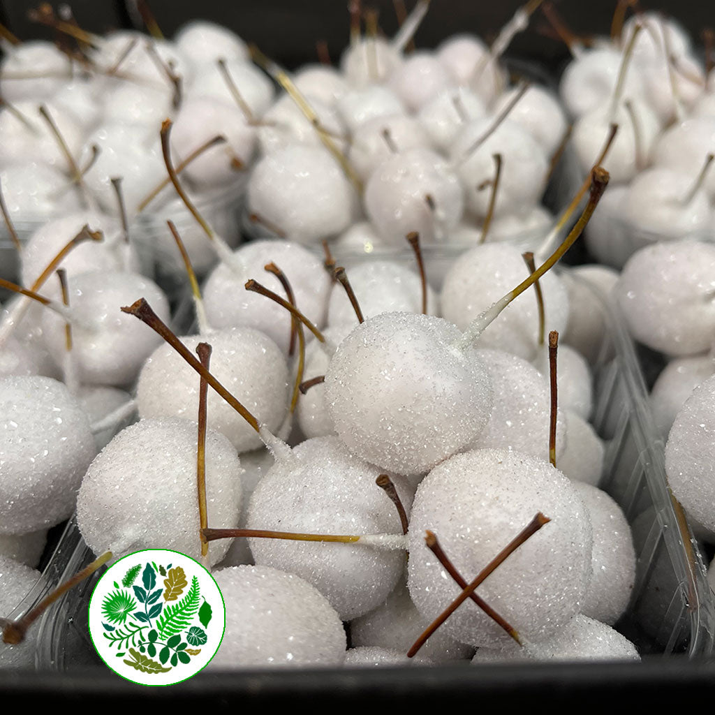 Waxed 'Crab Apples' (Various Colours) 'With and without Glitter' (Small Punnet)