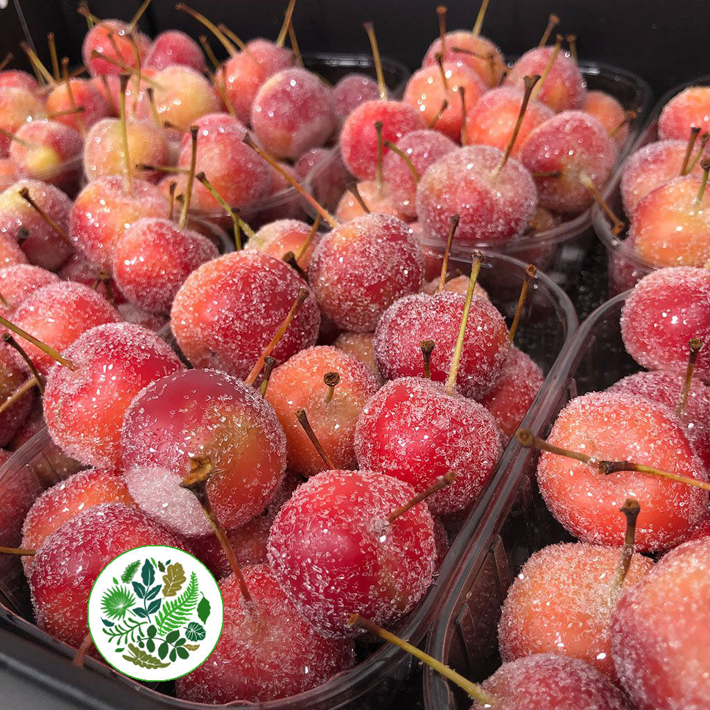 Waxed &#39;Crab Apples&#39; (Various Colours) (Small Tray)