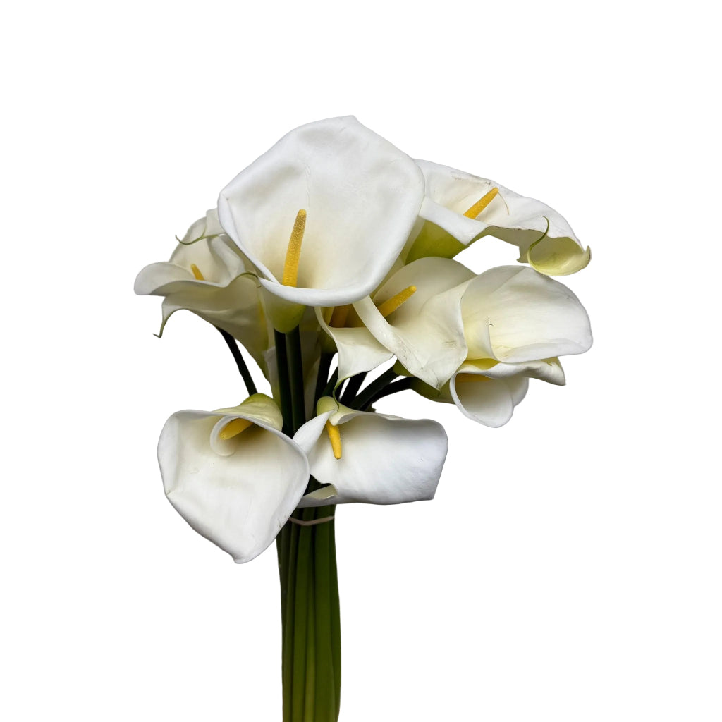 Zantedeschia 'Calla Lily' British 60-70cm (x10)