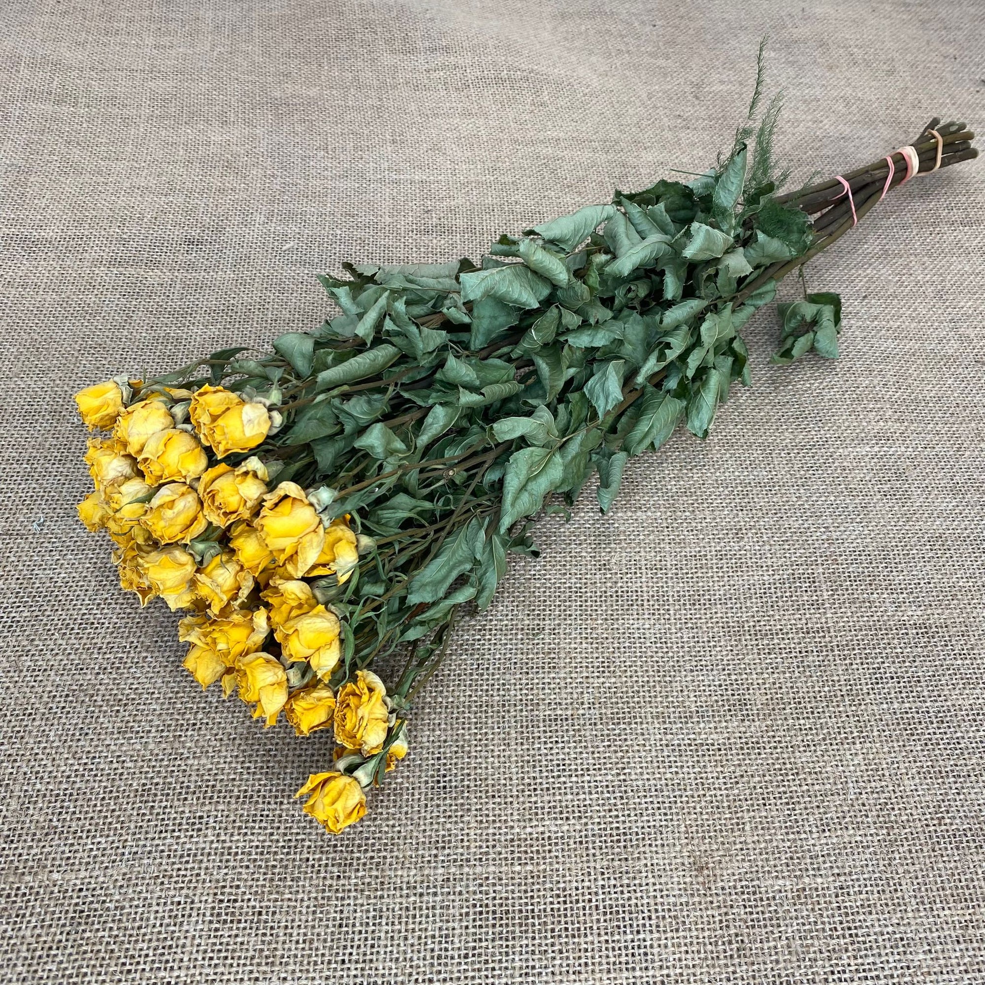 Roses 'Spray Roses' (DRY) (Various Colours)