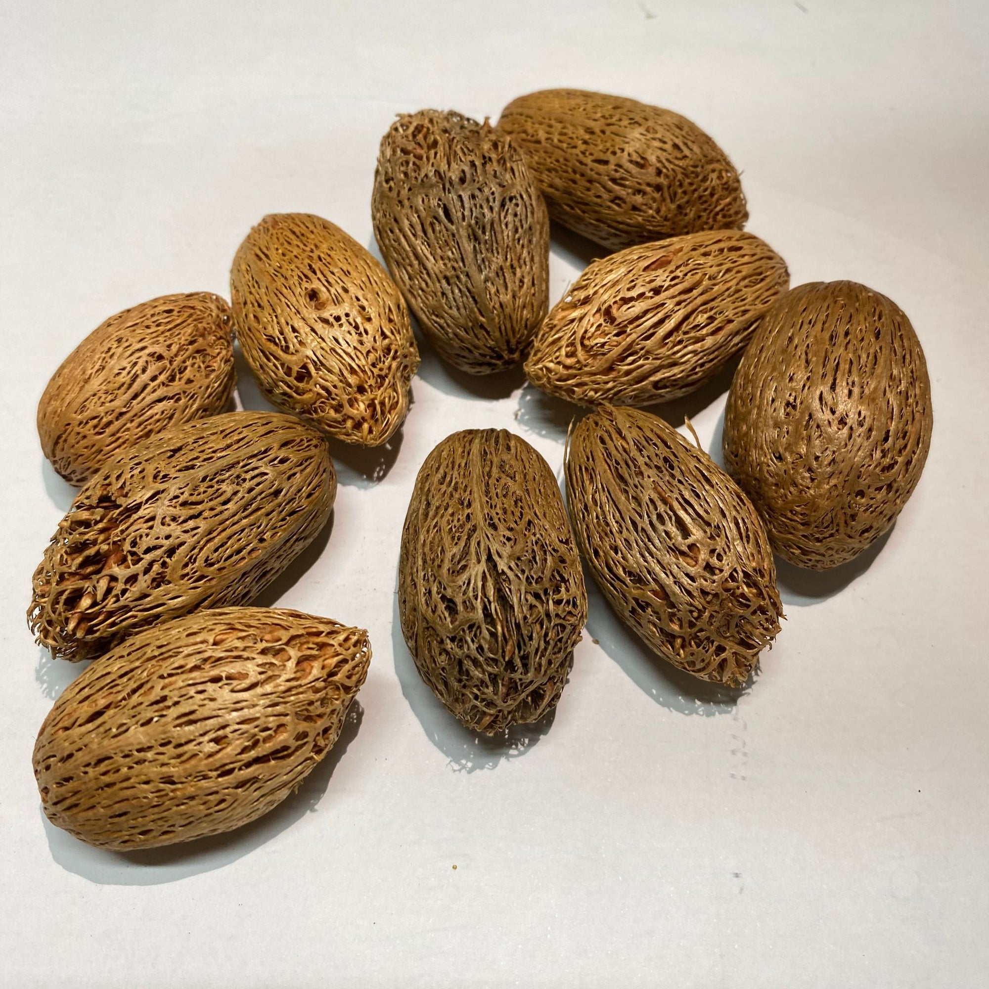 Pods 'Amra' Natural (DRY) 50g
