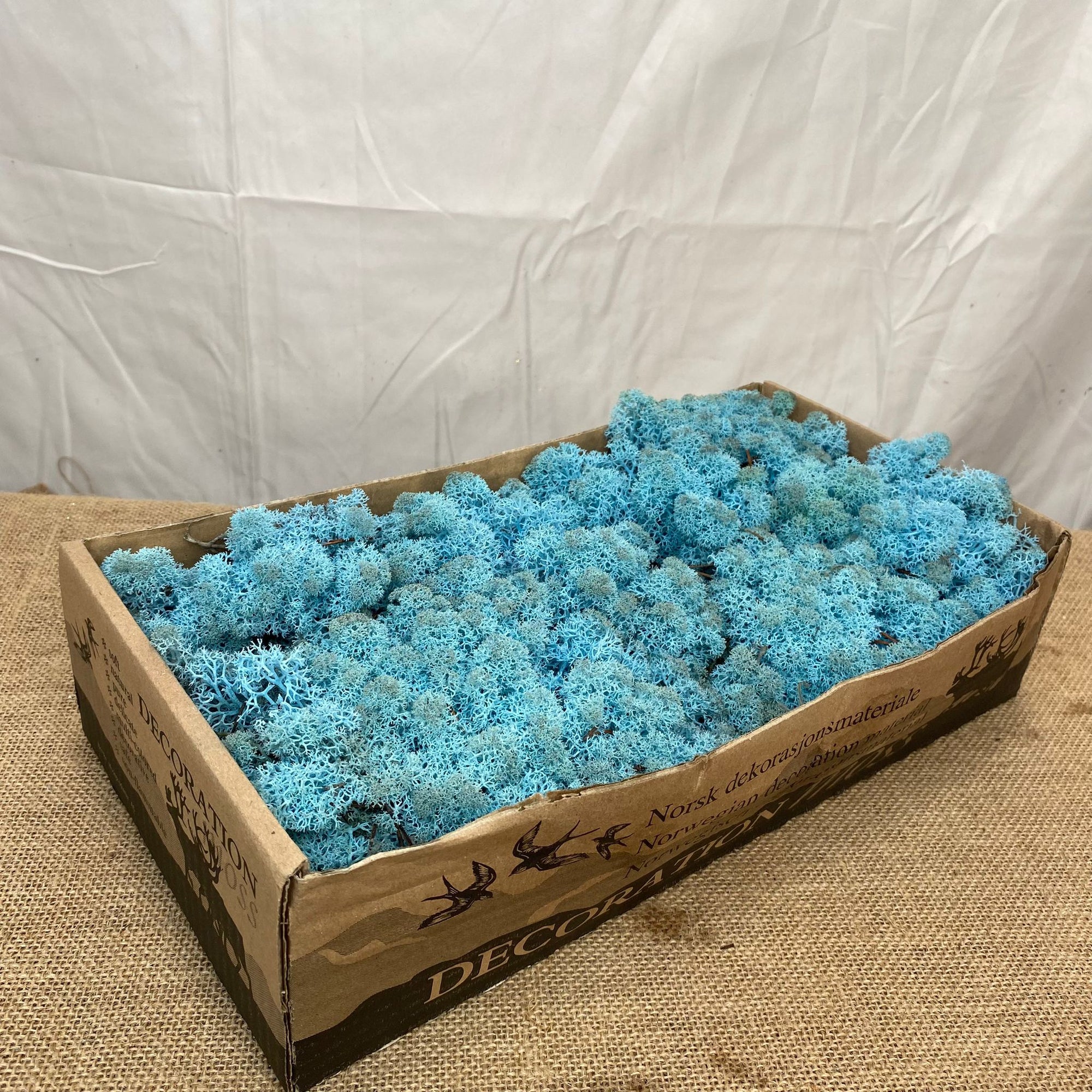 Moss 'Reindeer' (DRY) (Various Colours) (500g)