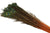 Feathers 'Peacock' 90-100cm (x10) (Various Colours)