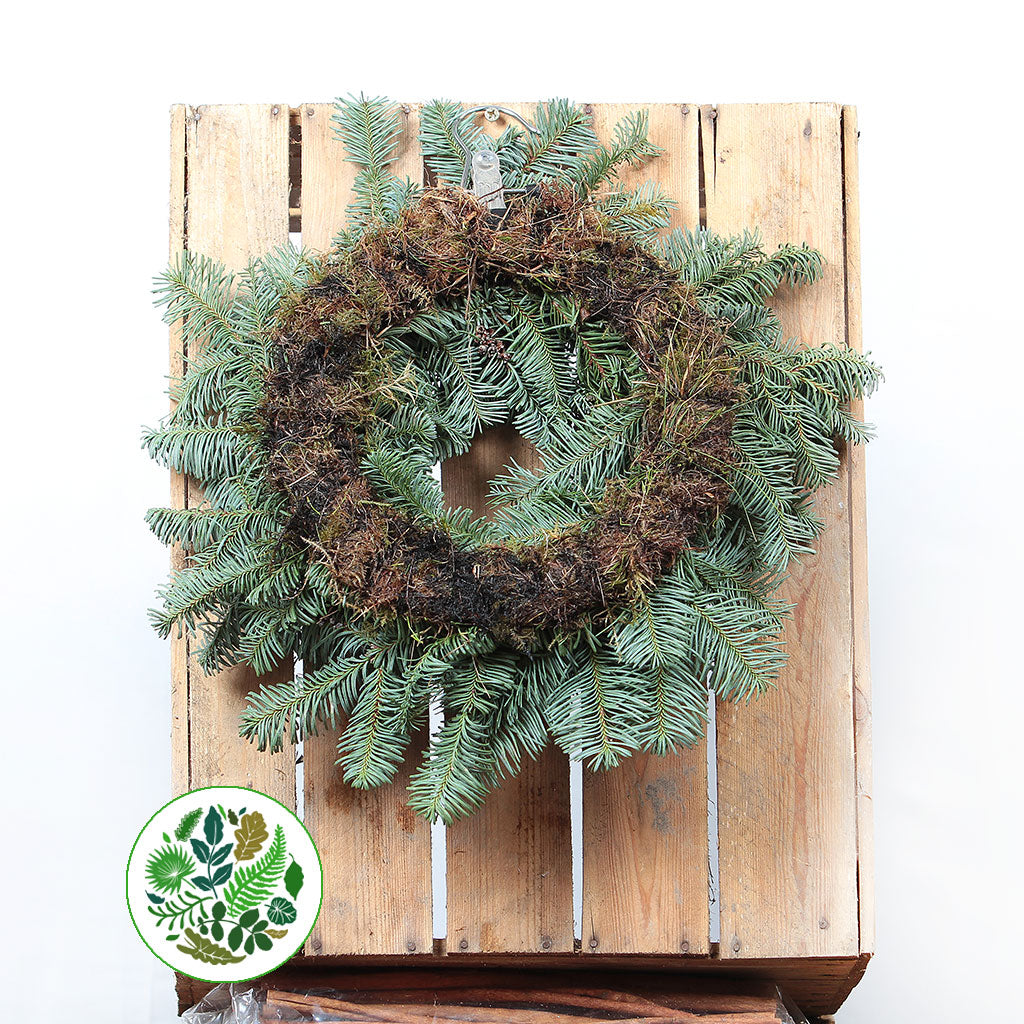 &#39;Blue Pine&#39; Wreaths (Various Sizes) (Metal Mossed Frames)