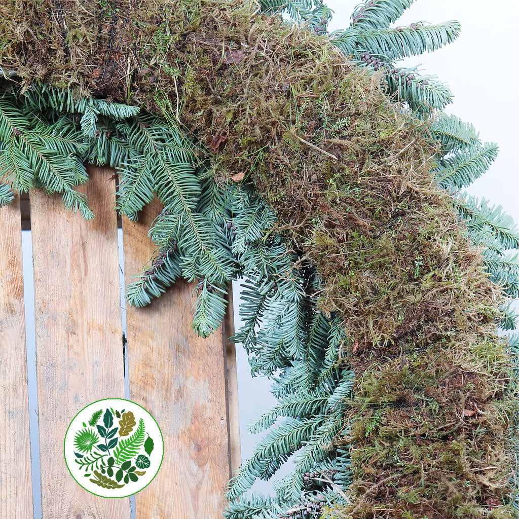 &#39;Blue Pine&#39; Wreaths (Various Sizes) (Metal Mossed Frames)