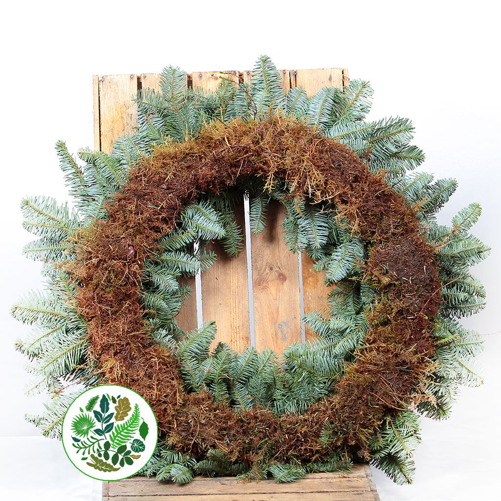 &#39;Blue Pine&#39; Wreaths (Various Sizes) (Metal Mossed Frames)